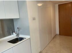 Park Infinia At Wee Nam (D11), Condominium #601509501
